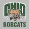 Ohio University Ohio University Bobcats Xbox 360 (Includes HDD) Skin